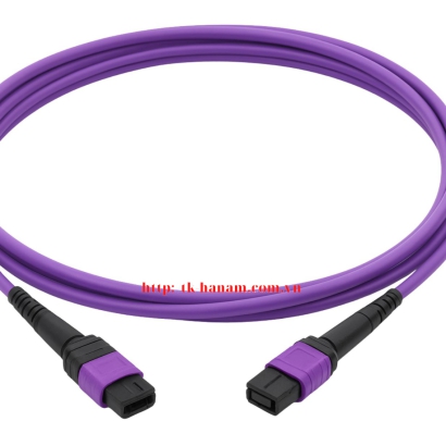 Dây cáp nhảy quang MPO