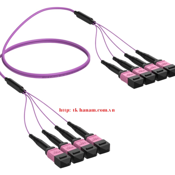 Dây cáp nhảy quang MPO