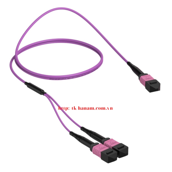 Dây cáp nhảy quang MPO